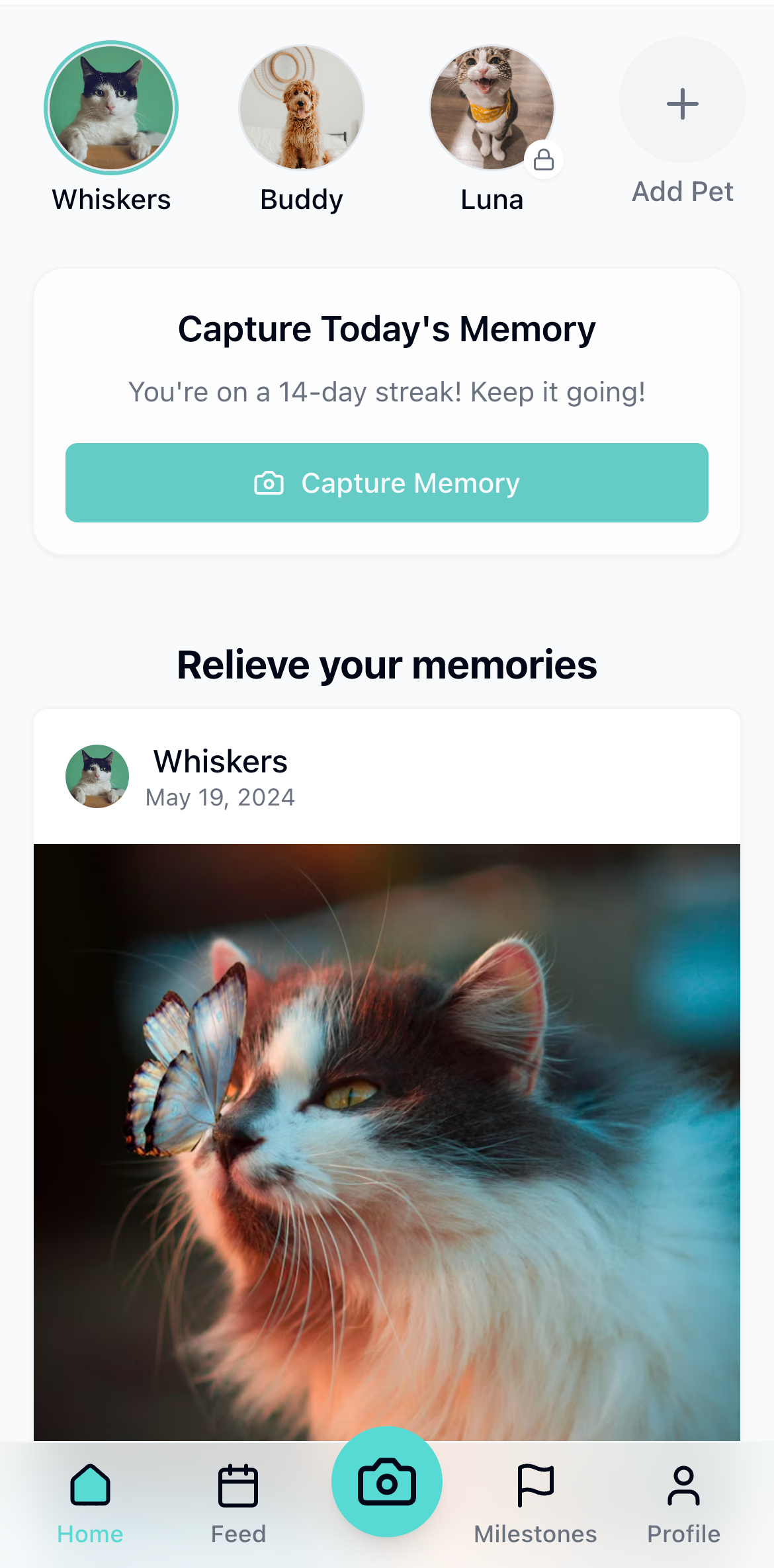 TinyPaws App Mockup